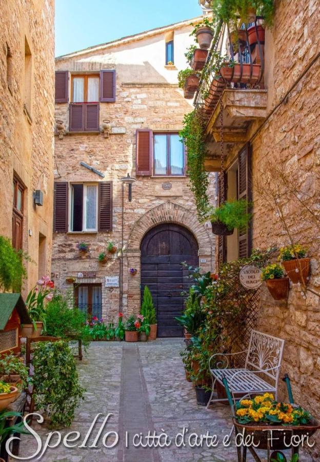 Nel Vicolo Dei Baci - Al Bacio Apartment *