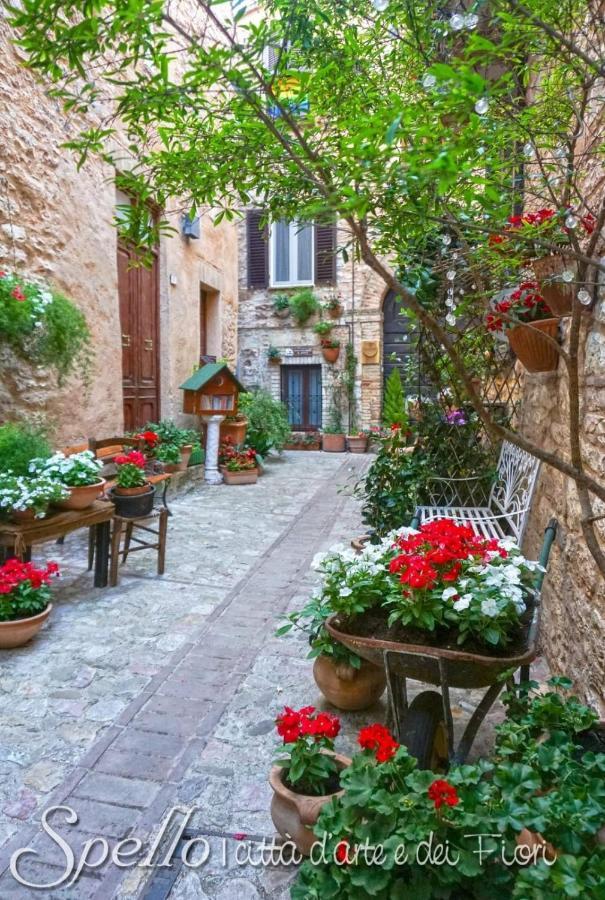 Nel Vicolo Dei Baci - Al Bacio Apartment Spello