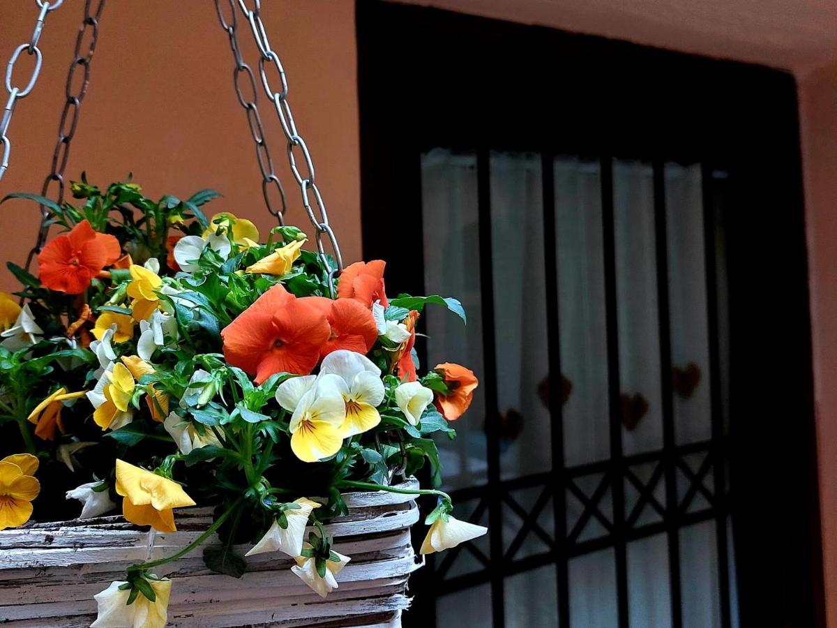Nel Vicolo Dei Baci - Al Bacio * Spello