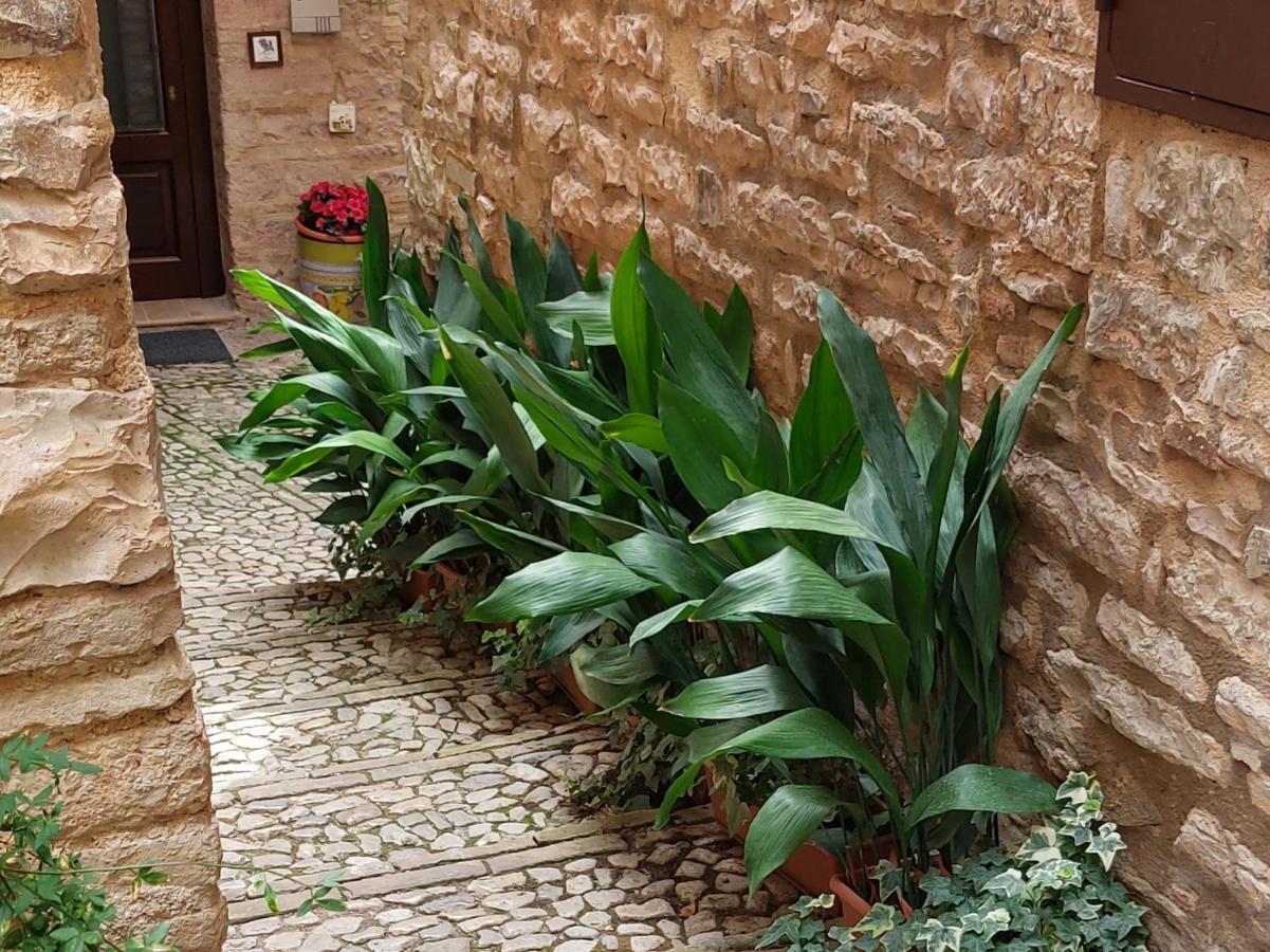 Nel Vicolo Dei Baci - Al Bacio Apartment Spello